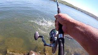 How To Catch HUGE Catfish From The Bank