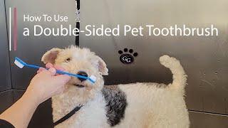 Using a Double-Sided Pet Toothbrush - How to brush your dog's teeth for general maintenance