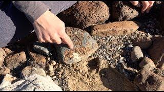 Tropical Coral fossils in Death Valley – California Geology | BetterGeology