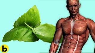 Eating Basil Everyday Will Do This To Your Body