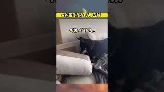 야! 너만 '성질'있냐?!?!