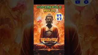 잘되는 집엔 이유가 있다… 부모의 공덕력 |불교 명상 오디오북|부처님 말씀 해설|마음 치유 명상|행복한 삶의 지혜|초보를 위한 불교 명상|부처님의 인생 조언|부처님 말씀 베스트