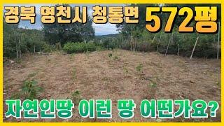 실제로 보면 괜찮은 땅입니다.  그 외 영천부동산?매물 많습니다 .