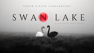 Swan Lake - Tchaikovsky : A Classical Masterpiece