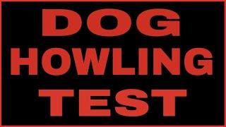 Dogs Howling Test | WILL YOUR DOG HOWL ?