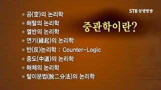 동국대 김성철 교수 강의, 중관학이란 무엇인가, 여덟가지 정의, 공 해탈 열반 탈이분법