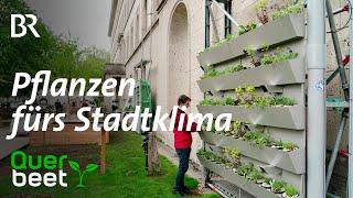 Klimawandel-Garten im München