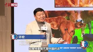 【东西问】许宏：只懂中国已经搞不清中国了