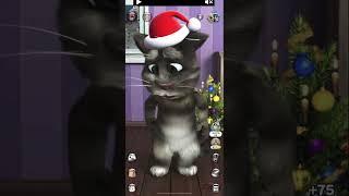 #catfun videos for cats no ads #funnytomcat #comedyvideos #tomcatfunnies #funnyshorts #mycat#catblog