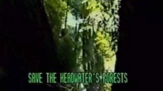 Save The Headwaters Forest - Concert and Rally (part 1 of 8)