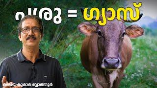 പശു അറിവ് COW and Global Warming ദഹനം Cattle produce methane gas #cow #animalfactsvideos #ruminant