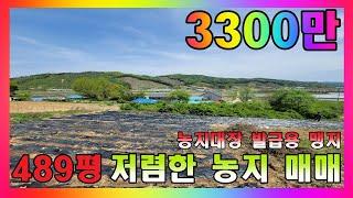 청주 토지 매매 / 489평! 농지대장(농지원부)용 저렴한 농지 매매 / 평당 10만원이하 맹지 토지 #청주토지매매 #청주농지매매 #청주시미원면토지