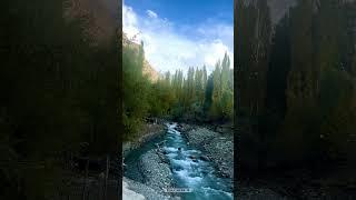 Autumn Beauty of Shigar Valley | #autumnleaves #autumnleaves #gilgitbaltistan