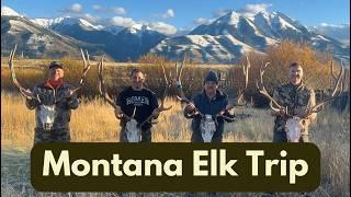 Montana Elk Hunt