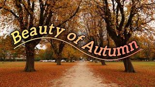 Beauty of Autumn||Beautiful Nature