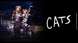 #CATS - Das #Musical im #Ronacher | #Trailer #Wien