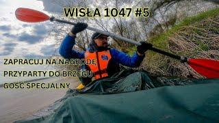 Wisła 1047- Połaniec, Sandomierz i całodniowa walka z wiatrem. Gość specjalny.  Odc.5