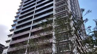 Branz Tower Shibaura, brand new condo high rise, 32 floors, shibaura island grove tower #shorts