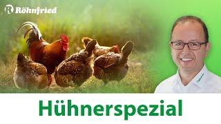 Röhnfried Hühnerspezial - Aufzuchtsverluste, dünne Eierschalen & Stallpflicht