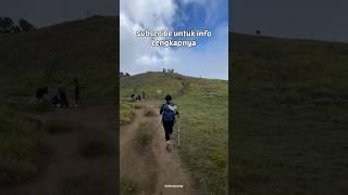 Pendakian Gunung Prau via Dieng #shorts #viral