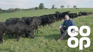 Co-op Food | Meet the Producer - Aberdeen Angus Beef