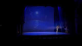 Swan lake - Odette’s entrance & first meeting with the Prince