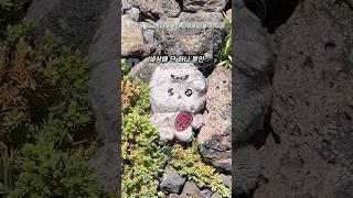 세상에 단 하나뿐인 나만의 #최고심 인형! #오브젝트제주