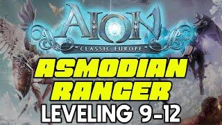 Aion Classic EU Asmodian Leveling 9-12