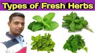 Types of fresh herbs | Name of herbs | Herbs ke naam | Herbs