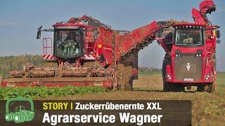 Zuckerrübenernte bei Agrarservice Wagner | Holmer Terra Dos 5-40 mit HR 12 im Einsatz | Werksbesuch