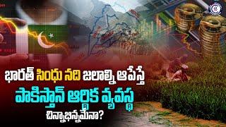 భారత్ సింధు నది జలాల్ని ఆపేస్తే… పాకిస్తాన్ ఆర్థిక వ్యవస్థ చిన్నాభిన్నమేనా..?#india #pakistan #indus
