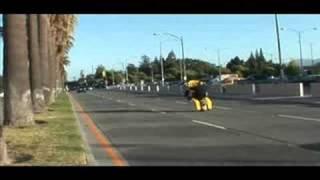 How to wheelie on a Harley