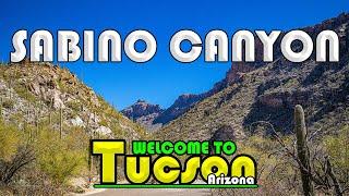 Tucson Arizona | Sabino Canyon