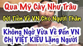 QUA MỸ CÀY NHƯ TRÂU. VIỆT KIỀU VỀ NƯỚC NGÃ NGỬA. KHÔNG NGỜ SỰ THẬT THẾ NÀY ĐÂY