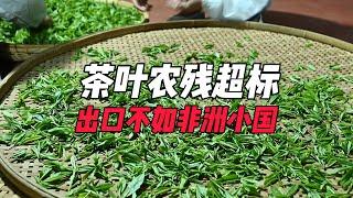 茶叶农残超标，出口不如非洲小国，是真的吗