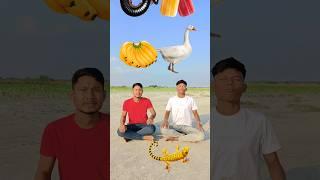 Two cute brothers vs eating biscuit, icecream, lolipop & insect vfx magic video 