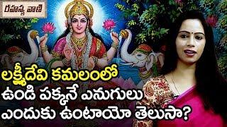 Facts About Goddess Lakshmi Devi - Rahasyavaani Unknown Telugu Facts