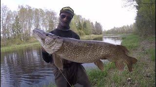 TOP 3 GIANT PIKE CAUGHT ON CAMERA (compilation)