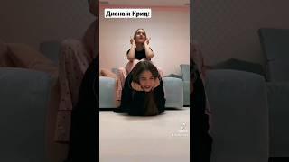 ЛЕДИ ДИАНА И ЕГОР КРИД️ Ну как вам парочка  #bunnyhouse #tiktok #дианазайцева #лп #рекомендации