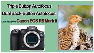 How To Set Up the Canon EOS R6 Mark ii for Triple Shutter Button & Triple Back Button Autofocus