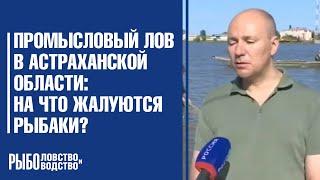 Неводной промысловый лов в Астраханской области: на что жалуются рыбаки?