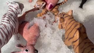 A Tiger story /Part 4/Schleich/