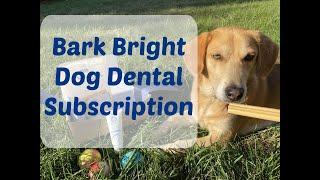 Bark Bright Dog Dental Subscription Box August 2022 Review + Free Robe & Toys