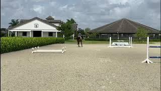 At Home with Glenbeigh Farm | Trot Cavalettis | Show Jumping Training Tips