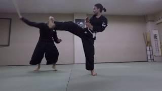 hanbo jutsu-Ashi uchi dori, Ashi garami, ganseki nage