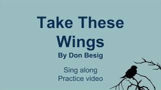 Take These Wings sing along video