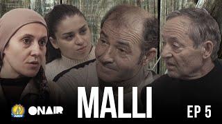 "Vuajta e Gurbetit" - MALLI I VENDLINDJES - EPISODI 5