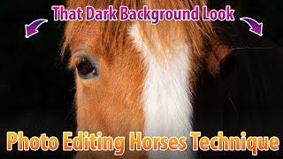 How To Edit A Horse Picture To Have A Black Background