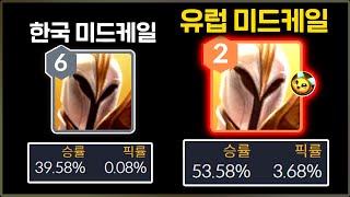 한국인만 모르는 꿀챔프 "미드 데캡 케일" 완벽하게 흡수해서 써봤습니다.