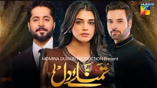 Taman E Dil - Teaser 01 | Imran Ashraf | Laiba Khan | Mikaal Zulfiqar | Hum TV | News | Dramaz HUB